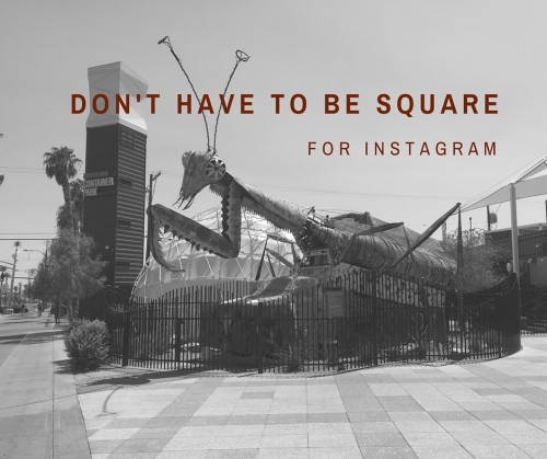 Don't have to be Square